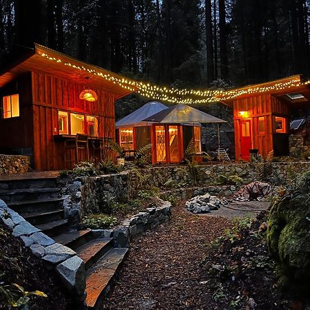 Magical Yurt In The Woods - 2 Miles From Town Hotel Nevada City Ngoại thất bức ảnh