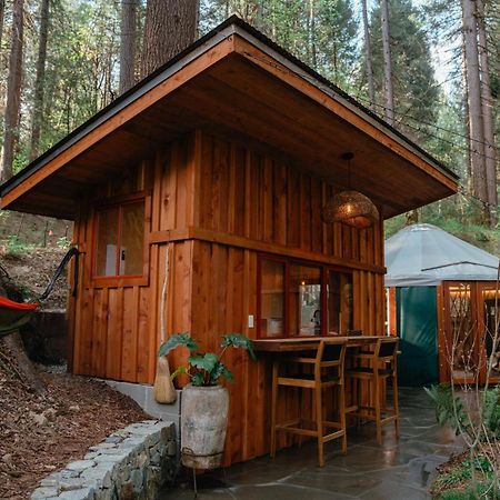 Magical Yurt In The Woods - 2 Miles From Town Hotel Nevada City Ngoại thất bức ảnh