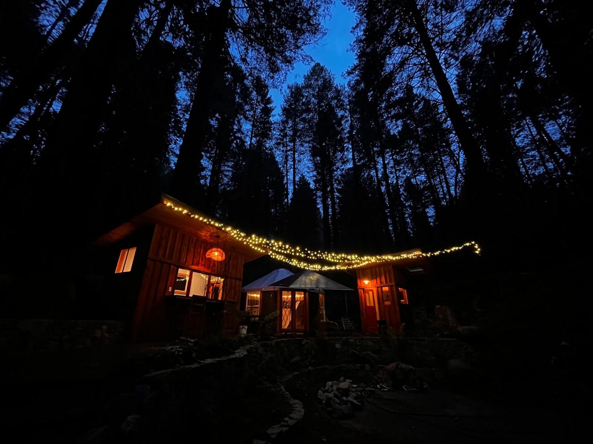 Magical Yurt In The Woods - 2 Miles From Town Hotel Nevada City Ngoại thất bức ảnh