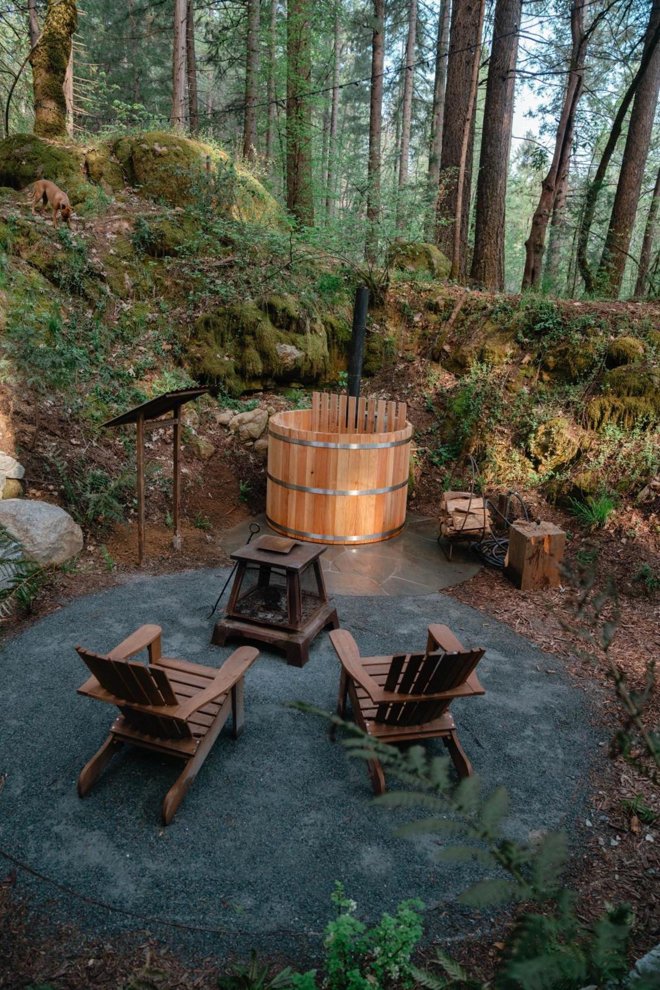 Magical Yurt In The Woods - 2 Miles From Town Hotel Nevada City Ngoại thất bức ảnh