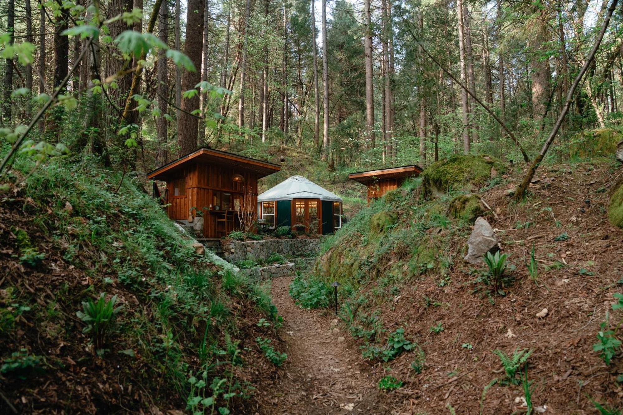 Magical Yurt In The Woods - 2 Miles From Town Hotel Nevada City Ngoại thất bức ảnh